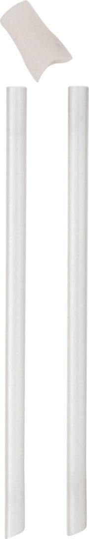 CamelBakCamelBak-Eddy+ Mundstück inkl. Strohhalm je 2 Stück