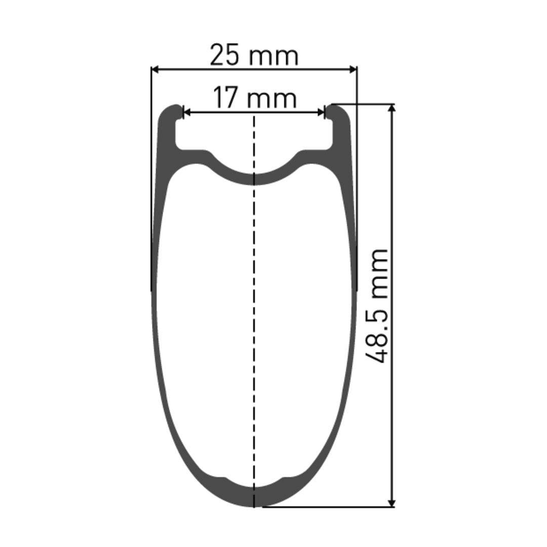DT SwissDT Swiss-ARC 1100 DICUT Laufrad 700c RB 48 100/5mm
