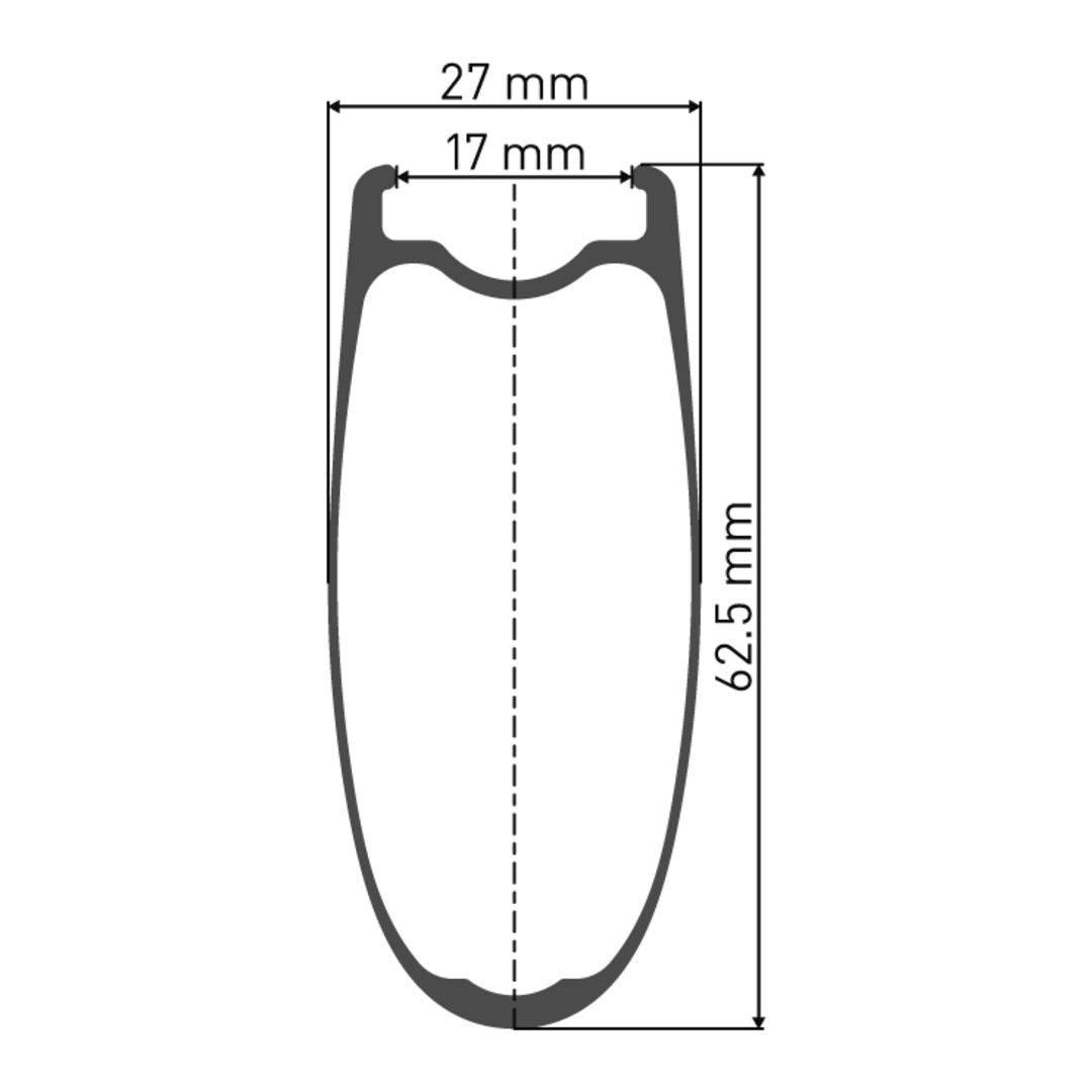 DT SwissDT Swiss-ARC 1100 DICUT Laufrad 700c RB 62 100/5mm