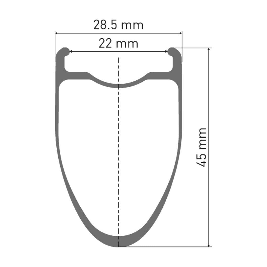 DT SwissDT Swiss-ERC 1100 DICUT Laufrad 700c CL 45 100/12mm