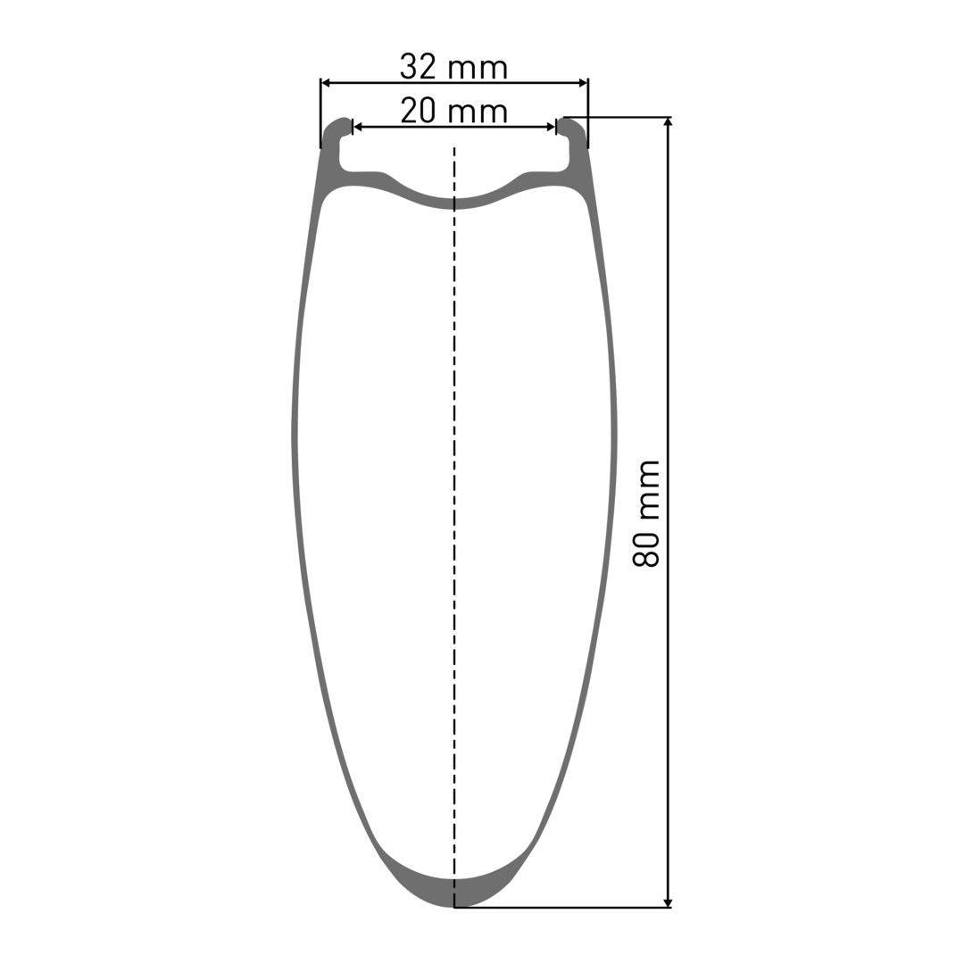 DT SwissDT Swiss-ARC 1100 DICUT Laufrad 700c CL 80 100/12mm