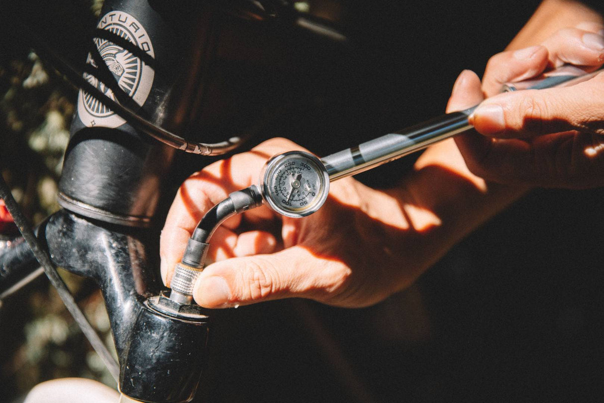 BirzmanBirzman-Dämpfer-Pumpe Macht silber