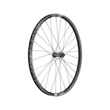 DT SwissDT Swiss-EX 1700 SPLINE Laufrad 29" CL 30 110/15mm