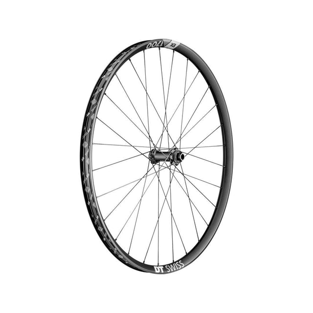 DT SwissDT Swiss-EX 1700 SPLINE Laufrad 29" CL 30 110/15mm