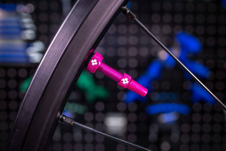 Muc-OffMuc-Off-V2 Tubeless Valve Kit 60mm/pink