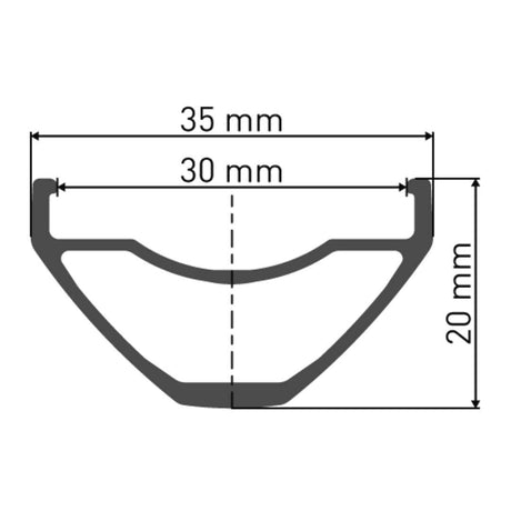 DT Swiss DT Swiss-E 1900 SPLINE Laufrad 29" CL 30 100/15