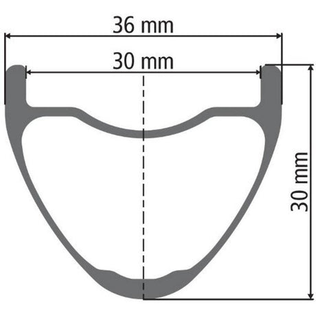 DT Swiss DT Swiss-XMC 1200 SPLINE Laufrad 29" CL 30 110/15mm