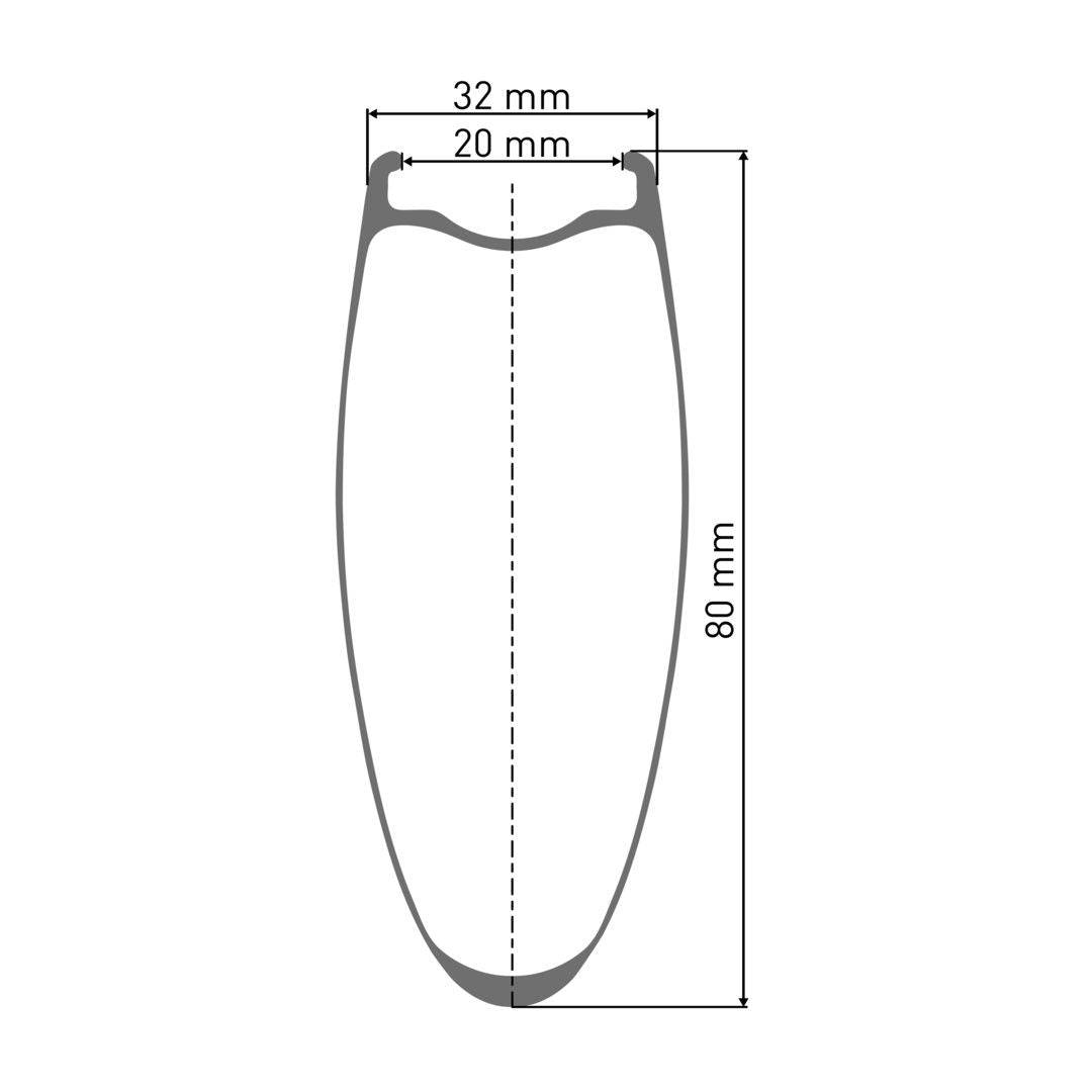 DT SwissDT Swiss-ARC 1400 DICUT Laufrad 700c CL 80 100/12mm