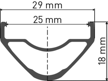 DT SwissDT Swiss-XR 1700 SPLINE Laufrad 29" CL 25 12/148mm MS