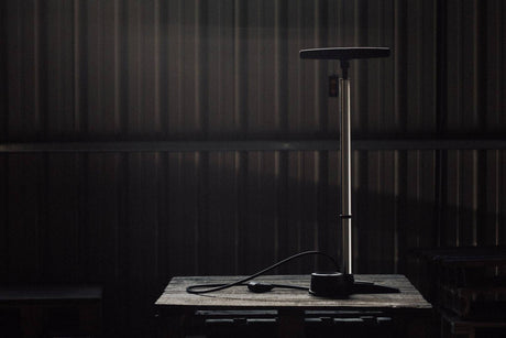 BirzmanBirzman-Pumpe The Pump Halo