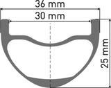 DT Swiss DT Swiss-EXC 1501 SPLINE Laufrad 29" IS 30 110/15