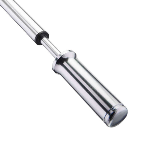 BirzmanBirzman-Dämpfer-Pumpe Macht silber